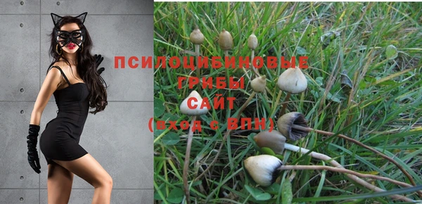 спиды Остров