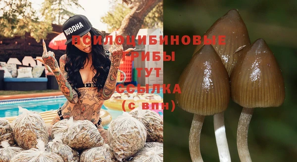 соль ск Осташков