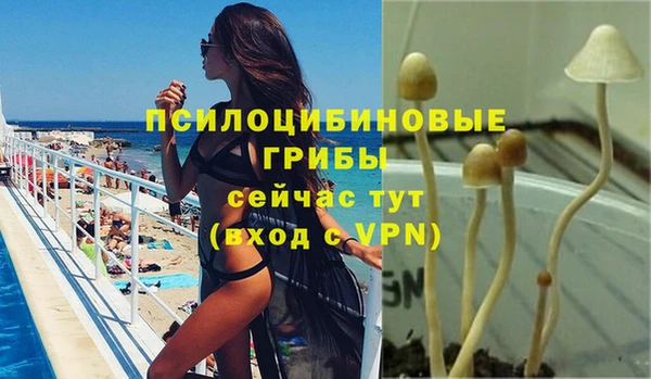 спиды Остров