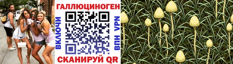 Псилоцибиновые грибы MAGIC MUSHROOMS  Покровск 